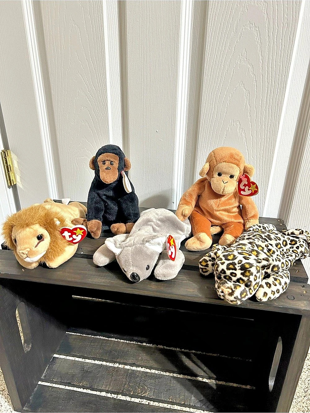 Ty Beanie Babies Roary, Congo, Mel, Bongo, and Freckles Bundle of 5